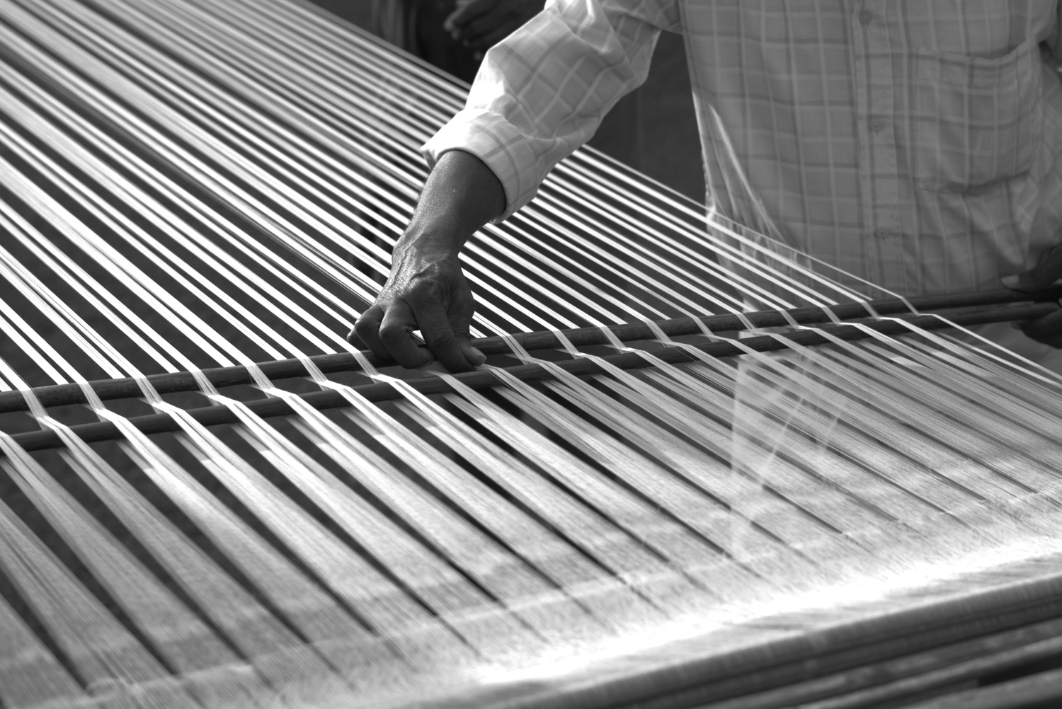 Rhythm of the Loom