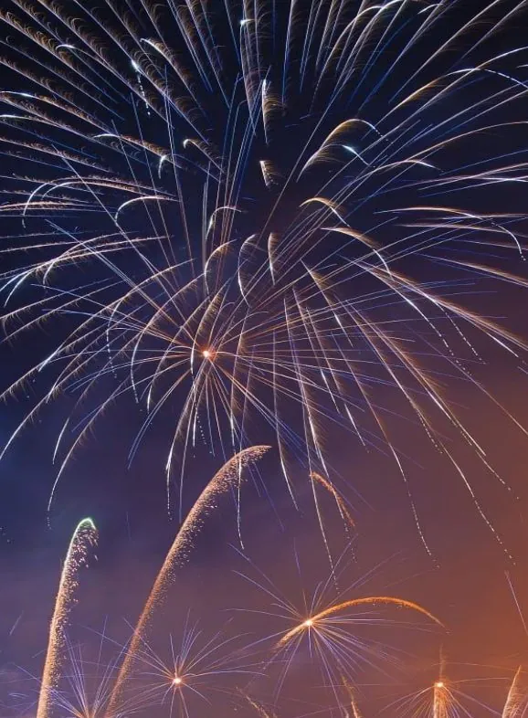 Fireworks lighting up the night sky