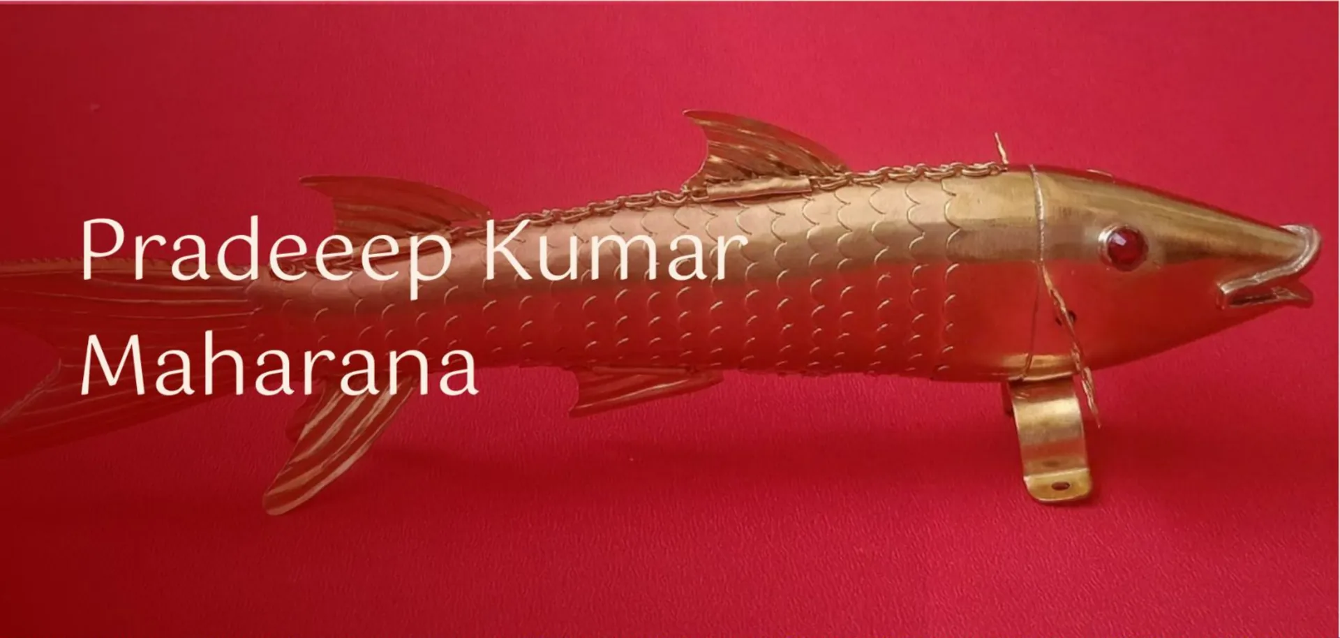 Pradeep Kumar Maharana – craft close-up