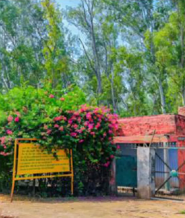 Place – Rekha Maan