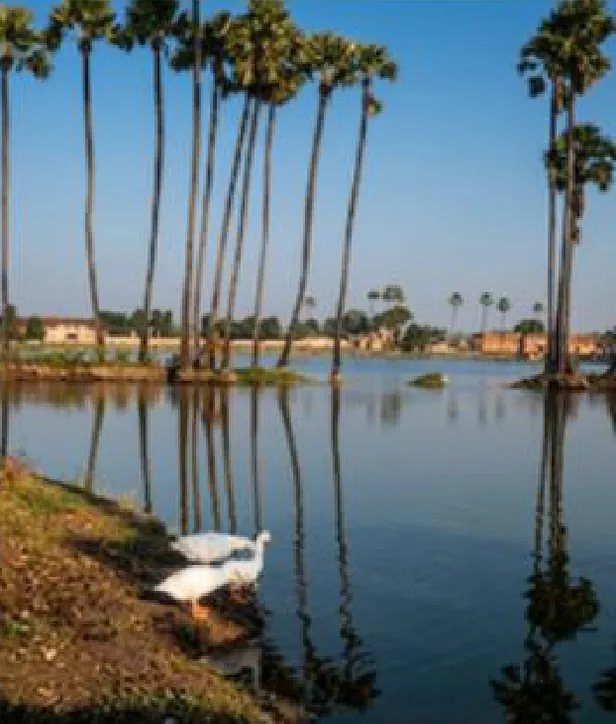 Place – Subodh Kumar