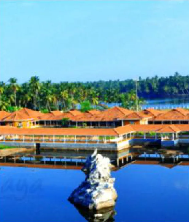 Place – Vijini PK