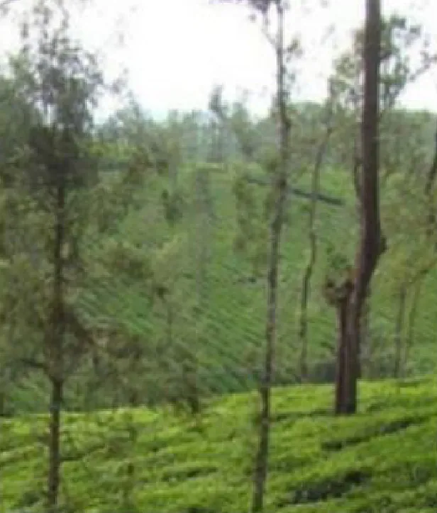 Place – S. Vinodha Sin