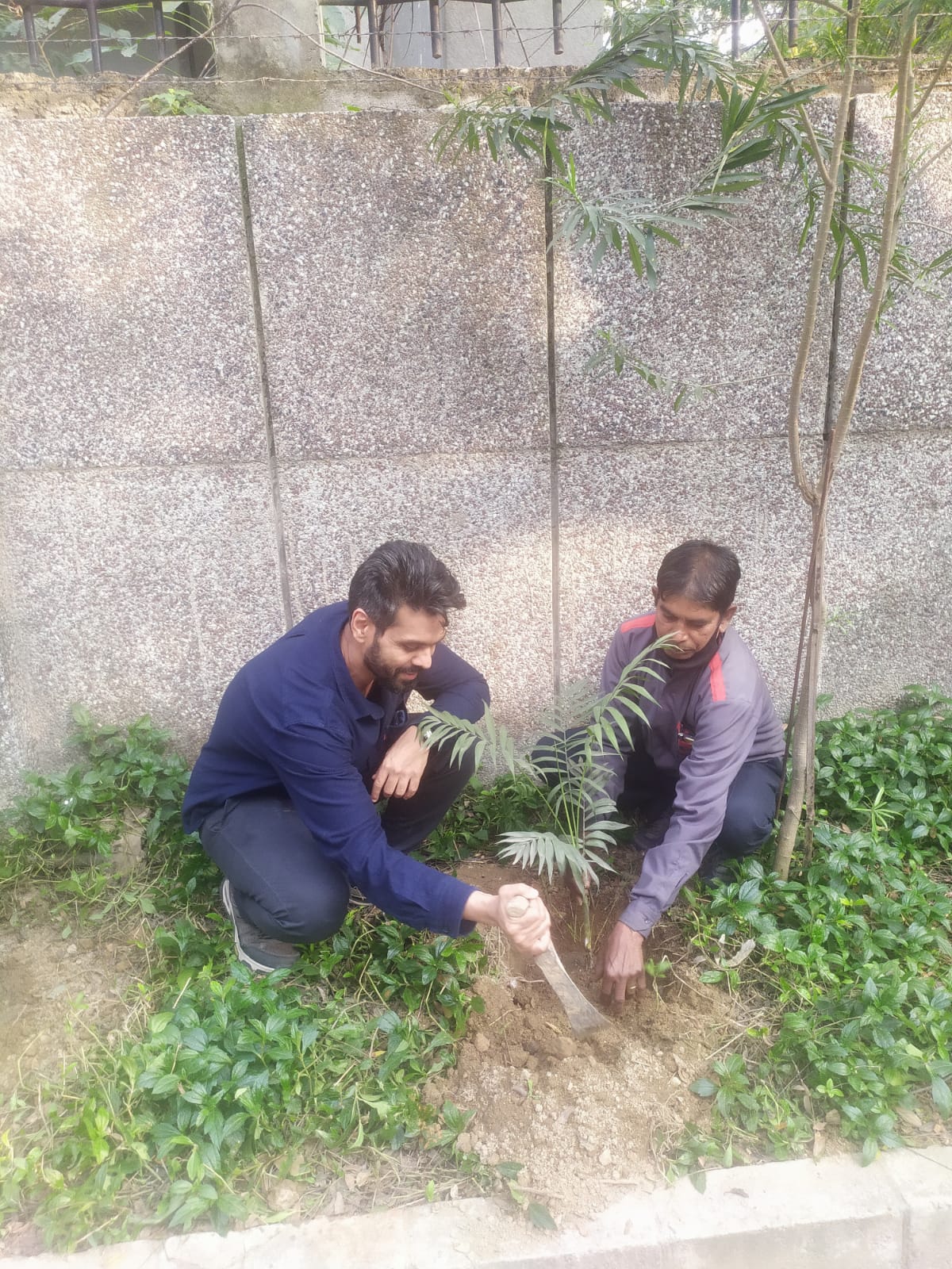 Swachhta Pakhwada