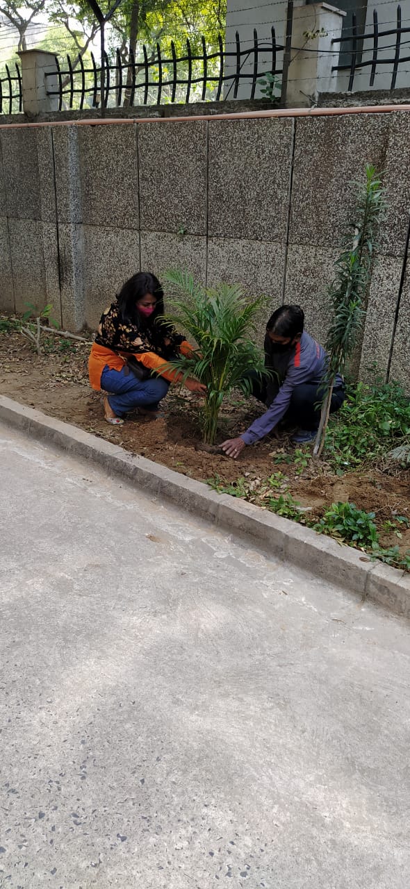 Swachhta Pakhwada