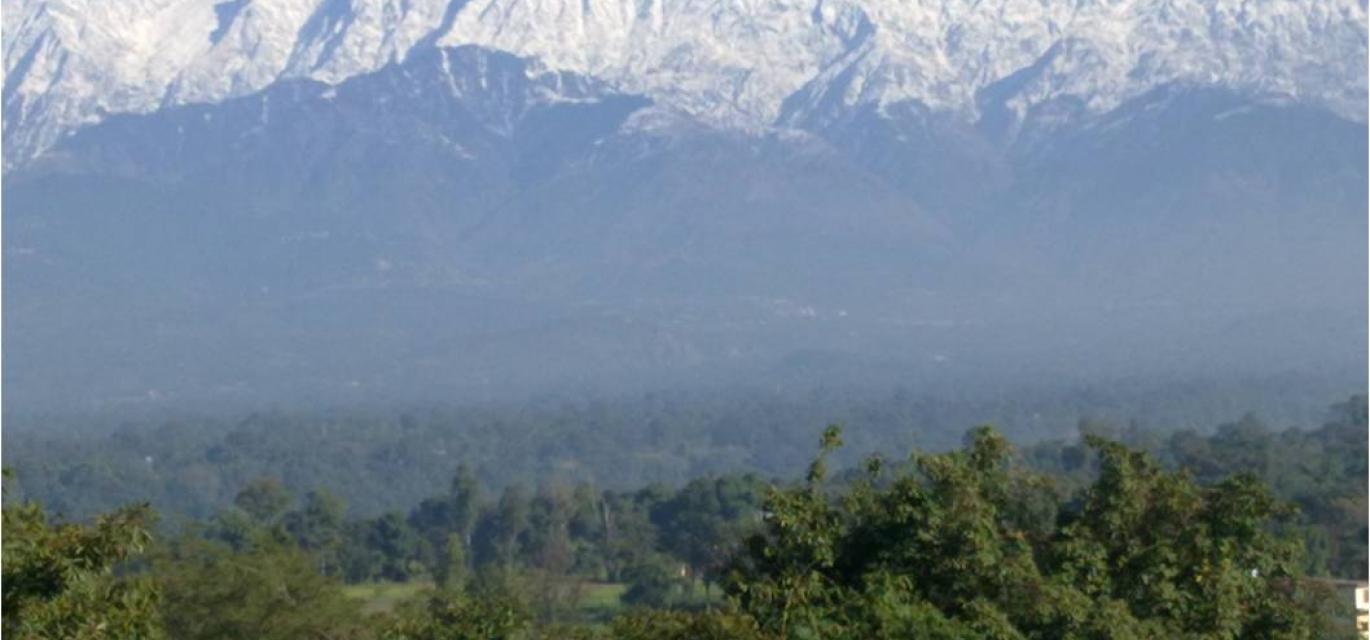 Slider 3 - Kangra