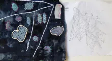  Dr. Vandana Bhandari